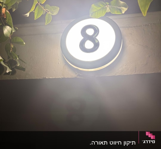 מספר שמונה מואר על קיר עם עלים מסביב